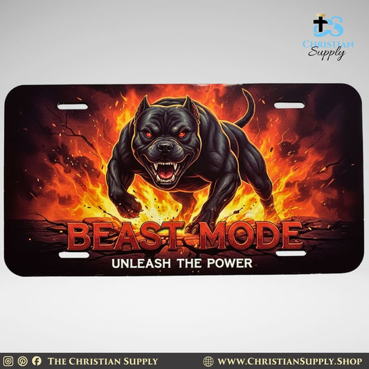 License Plate (Pack of 8)